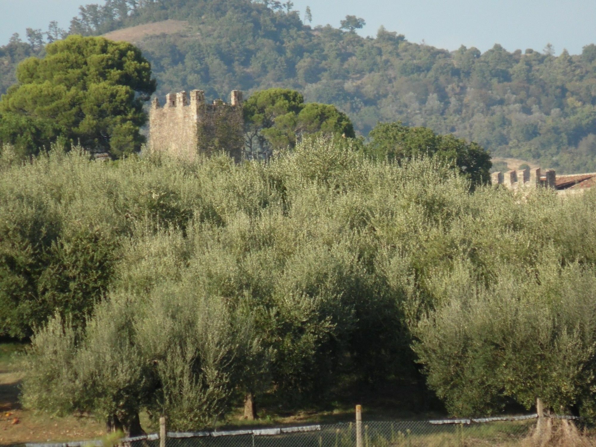 Podere Caldaruccio La Pineta Перуджа Екстериор снимка